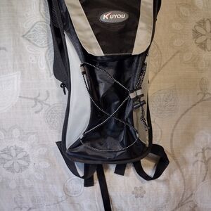 Black and Gray Hydration Pack